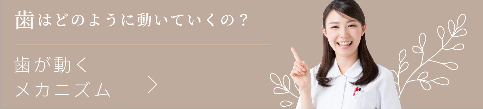 歯はどのように動いていくの？歯が動くメカニズム
