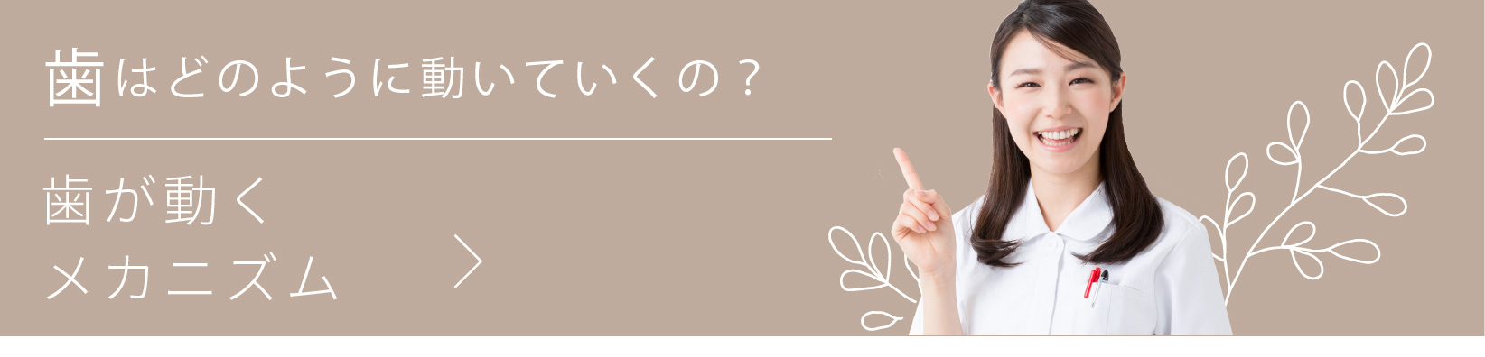 歯が動くメカニズムについてはこちら